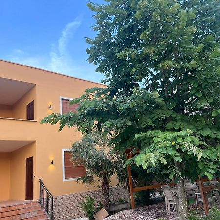 Vila Magis Vlorë Exteriör bild