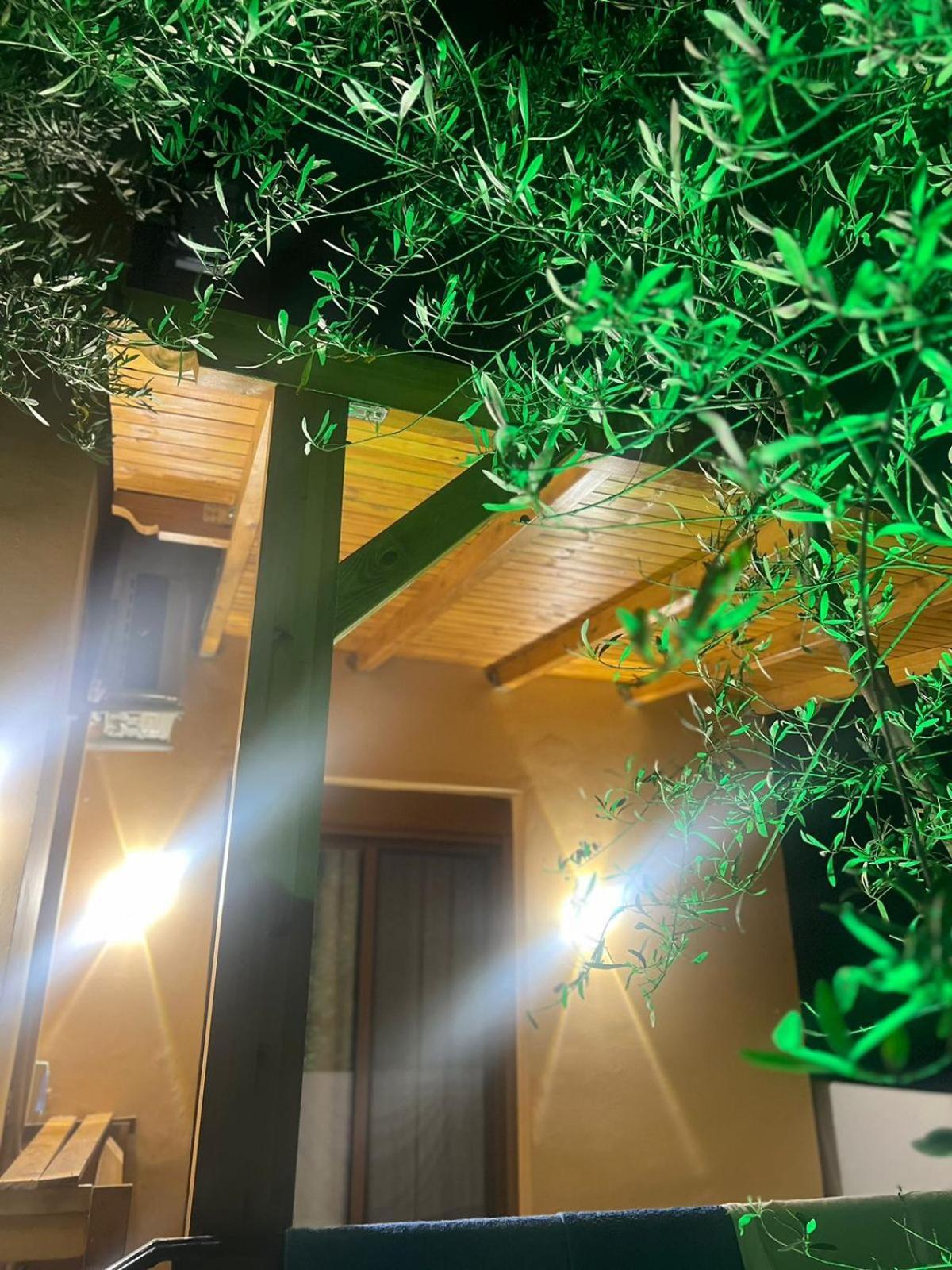 Vila Magis Vlorë Exteriör bild