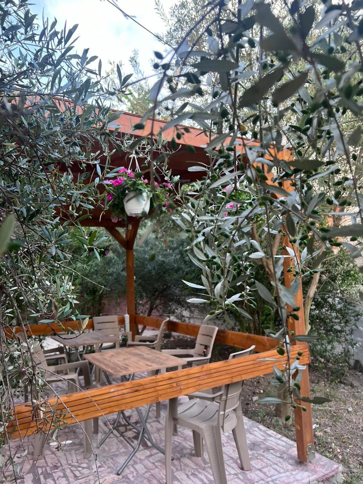 Vila Magis Vlorë Exteriör bild