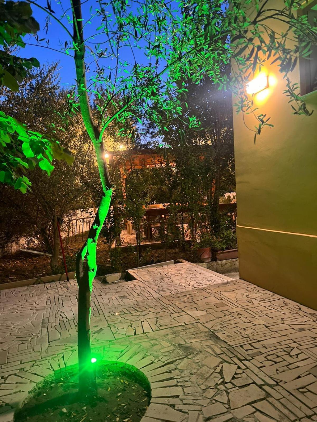 Vila Magis Vlorë Exteriör bild