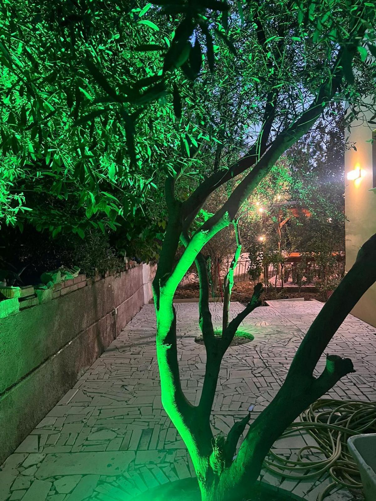 Vila Magis Vlorë Exteriör bild