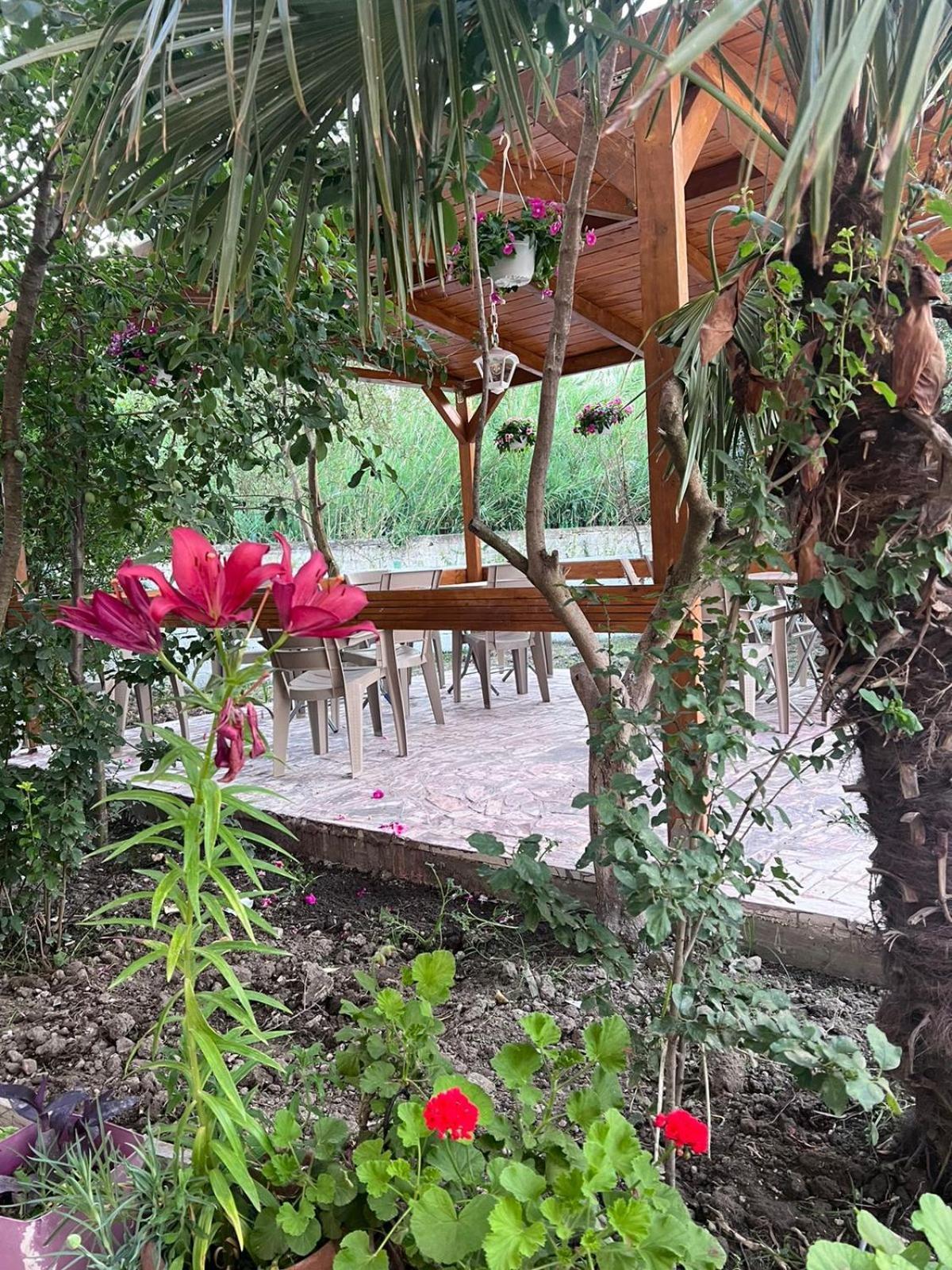 Vila Magis Vlorë Exteriör bild